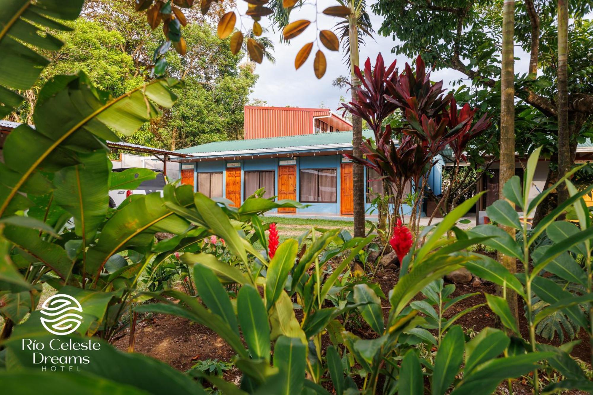 Rio Celeste Dreams Bijagua Exteriér fotografie