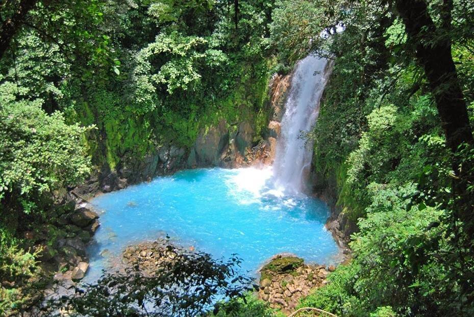 Xxx Blue Paradise - Rio Celeste Dreams Bijagua Exteriér fotografie