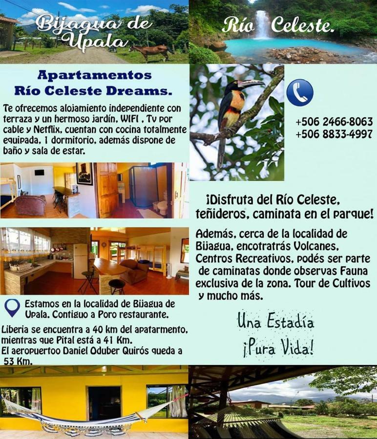 Xxx Blue Paradise - Rio Celeste Dreams Bijagua Exteriér fotografie